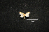  ( - MAL-00943)  @12 [ ] Unspecified (default): All Rights Reserved  Unspecified Unspecified