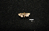  ( - MAL-01025)  @12 [ ] Unspecified (default): All Rights Reserved  Unspecified Unspecified