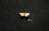  ( - MAL-01035)  @12 [ ] Unspecified (default): All Rights Reserved  Unspecified Unspecified