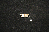  ( - MAL-01035)  @12 [ ] Unspecified (default): All Rights Reserved  Unspecified Unspecified