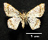  ( - MAL-01038)  @14 [ ] Unspecified (default): All Rights Reserved  Unspecified Unspecified