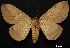  ( - MAL-01054)  @13 [ ] Unspecified (default): All Rights Reserved  Unspecified Unspecified
