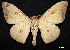  ( - MAL-01055)  @14 [ ] Unspecified (default): All Rights Reserved  Unspecified Unspecified
