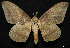  ( - MAL-01056)  @14 [ ] Unspecified (default): All Rights Reserved  Unspecified Unspecified