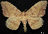  ( - MAL-01057)  @14 [ ] Unspecified (default): All Rights Reserved  Unspecified Unspecified