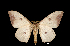  ( - MAL-01063)  @14 [ ] Unspecified (default): All Rights Reserved  Unspecified Unspecified