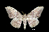  ( - MAL-01065)  @14 [ ] Unspecified (default): All Rights Reserved  Unspecified Unspecified