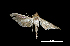  ( - MAL-01070)  @13 [ ] Unspecified (default): All Rights Reserved  Unspecified Unspecified
