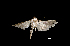  ( - MAL-01070)  @12 [ ] Unspecified (default): All Rights Reserved  Unspecified Unspecified