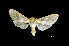  ( - MAL-01072)  @12 [ ] Unspecified (default): All Rights Reserved  Unspecified Unspecified