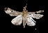  ( - MAL-01082)  @12 [ ] Unspecified (default): All Rights Reserved  Unspecified Unspecified