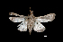  ( - MAL-01082)  @12 [ ] Unspecified (default): All Rights Reserved  Unspecified Unspecified