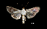  ( - MAL-01098)  @13 [ ] Unspecified (default): All Rights Reserved  Unspecified Unspecified