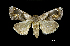  ( - MAL-01117)  @11 [ ] Unspecified (default): All Rights Reserved  Unspecified Unspecified