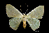  ( - MAL-01123)  @13 [ ] Unspecified (default): All Rights Reserved  Unspecified Unspecified