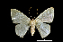  ( - MAL-01123)  @13 [ ] Unspecified (default): All Rights Reserved  Unspecified Unspecified