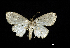  ( - MAL-01125)  @13 [ ] Unspecified (default): All Rights Reserved  Unspecified Unspecified