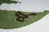  ( - MLL-01046)  @12 [ ] Unspecified (default): All Rights Reserved  Unspecified Unspecified