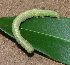  ( - MLL-01980)  @12 [ ] Unspecified (default): All Rights Reserved  Unspecified Unspecified