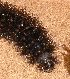  ( - MLL-01998)  @12 [ ] Unspecified (default): All Rights Reserved  Unspecified Unspecified