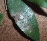  ( - MLL-00691)  @13 [ ] Unspecified (default): All Rights Reserved  Unspecified Unspecified