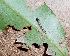  ( - MLL-00705)  @13 [ ] Unspecified (default): All Rights Reserved  Unspecified Unspecified