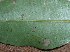  ( - MLL-00712)  @12 [ ] Unspecified (default): All Rights Reserved  Unspecified Unspecified