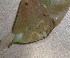  ( - MLL-00713)  @13 [ ] Unspecified (default): All Rights Reserved  Unspecified Unspecified