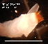  ( - PCMB51889)  @11 [ ] by-nc-nd (2024) N. Treneman Bishop Museum