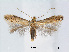  ( - RMNH.5007940)  @14 [ ] CreativeCommons - Attribution Non-Commercial Share-Alike (2015) Unspecified Naturalis Biodiversity Centre
