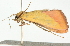  ( - BIOUG06206-B09)  @12 [ ] CreativeCommons - Attribution (2012) CBG Photography Group Centre for Biodiversity Genomics