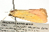  ( - BIOUG06206-B10)  @12 [ ] CreativeCommons - Attribution (2012) CBG Photography Group Centre for Biodiversity Genomics