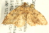  ( - BIOUG06206-F09)  @12 [ ] CreativeCommons - Attribution (2012) CBG Photography Group Centre for Biodiversity Genomics