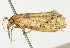  ( - BIOUG06206-G12)  @12 [ ] CreativeCommons - Attribution (2012) CBG Photography Group Centre for Biodiversity Genomics