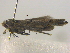  ( - BIOUG06206-H06)  @12 [ ] CreativeCommons - Attribution (2012) CBG Photography Group Centre for Biodiversity Genomics