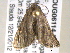  ( - BIOUG06114-F01)  @12 [ ] CreativeCommons - Attribution (2013) CBG Photography Group Centre for Biodiversity Genomics