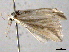  ( - BIOUG06114-G02)  @13 [ ] CreativeCommons - Attribution (2013) CBG Photography Group Centre for Biodiversity Genomics