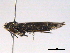  ( - BIOUG06207-A10)  @12 [ ] CreativeCommons - Attribution (2013) CBG Photography Group Centre for Biodiversity Genomics