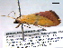 ( - BIOUG06232-E06)  @12 [ ] CreativeCommons - Attribution (2013) CBG Photography Group Centre for Biodiversity Genomics