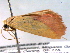  ( - BIOUG06232-E07)  @12 [ ] CreativeCommons - Attribution (2013) CBG Photography Group Centre for Biodiversity Genomics