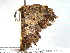  ( - BIOUG06232-E12)  @12 [ ] CreativeCommons - Attribution (2013) CBG Photography Group Centre for Biodiversity Genomics