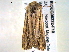  ( - BIOUG06232-F10)  @12 [ ] CreativeCommons - Attribution (2013) CBG Photography Group Centre for Biodiversity Genomics