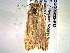  ( - BIOUG06232-F12)  @13 [ ] CreativeCommons - Attribution (2013) CBG Photography Group Centre for Biodiversity Genomics