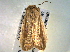  ( - BIOUG06232-G01)  @13 [ ] CreativeCommons - Attribution (2013) CBG Photography Group Centre for Biodiversity Genomics