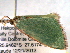  ( - BIOUG06232-H08)  @12 [ ] CreativeCommons - Attribution (2013) CBG Photography Group Centre for Biodiversity Genomics