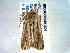  ( - BIOUG06242-A04)  @12 [ ] CreativeCommons - Attribution (2013) CBG Photography Group Centre for Biodiversity Genomics