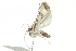  ( - BIOUG02089-C04)  @12 [ ] CreativeCommons - Attribution (2012) CBG Photography Group Centre for Biodiversity Genomics