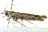  ( - BIOUG02063-B09)  @12 [ ] CreativeCommons - Attribution (2012) CBG Photography Group Centre for Biodiversity Genomics