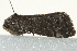  ( - BIOUG02065-C05)  @12 [ ] CreativeCommons - Attribution (2012) CBG Photography Group Centre for Biodiversity Genomics