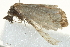  ( - BIOUG02065-G11)  @12 [ ] CreativeCommons - Attribution (2012) CBG Photography Group Centre for Biodiversity Genomics